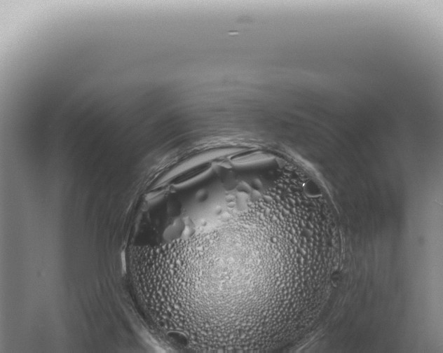 X0000060580061200511101707