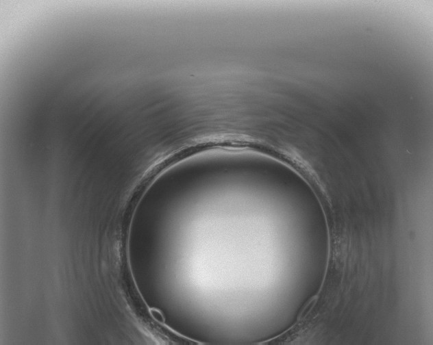 X0000060580063200511101707