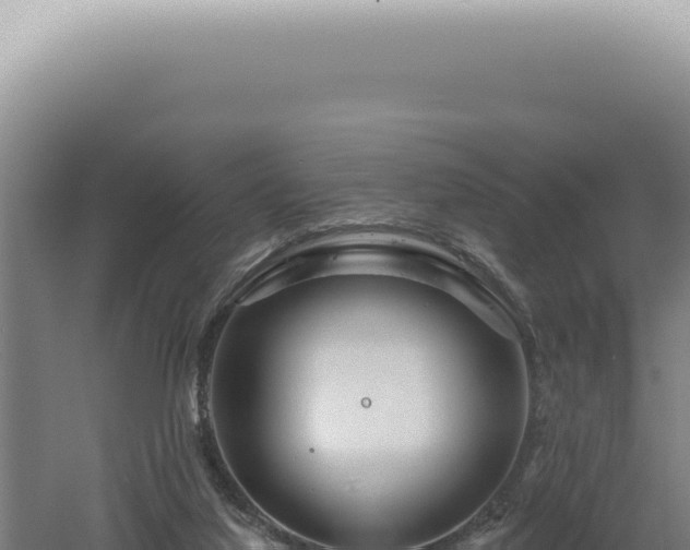 X0000060580068200511101707