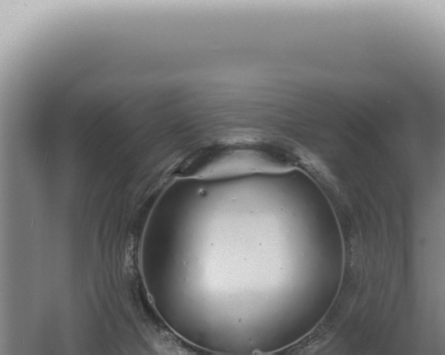 X0000060580073200511101707