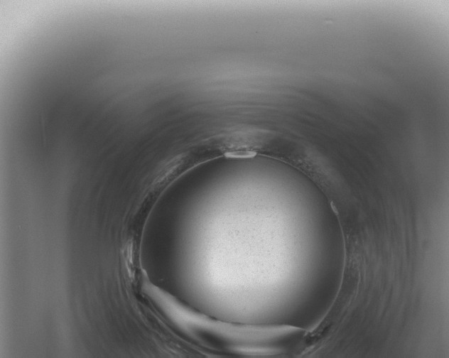 X0000060580076200511101707