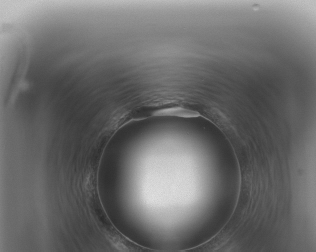 X0000060580079200511101707