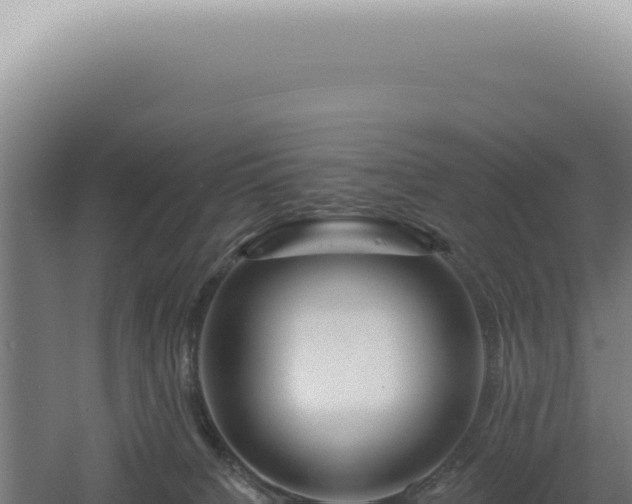 X0000060580084200511101707