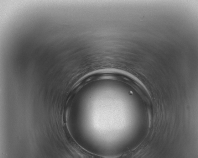 X0000060580088200511101707