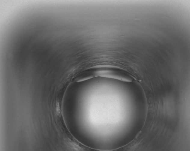 X0000060580089200511101707