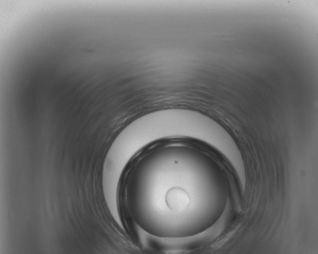 X0000060580096200511101707