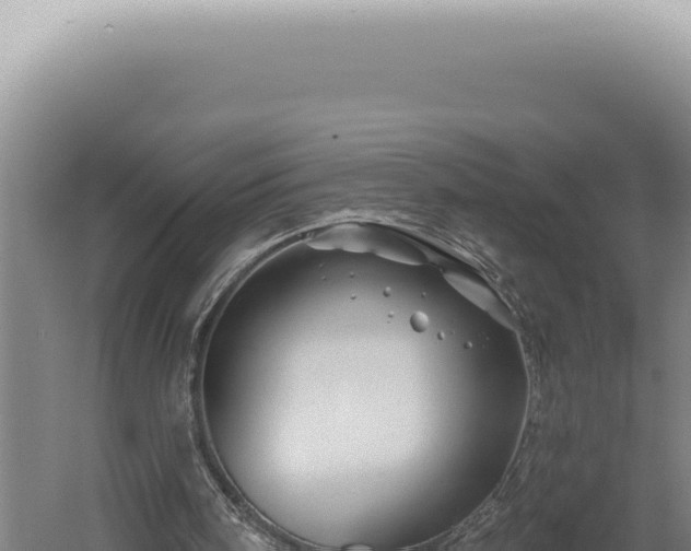 X0000060580098200511101706