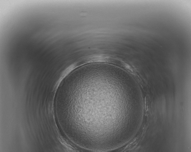 X0000060580099200511101706