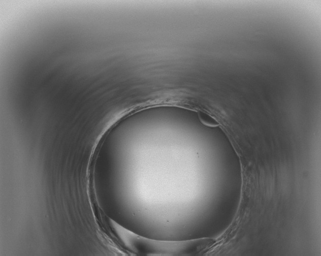 X0000060580100200511101706