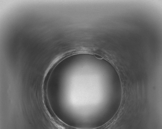 X0000060580102200511101706