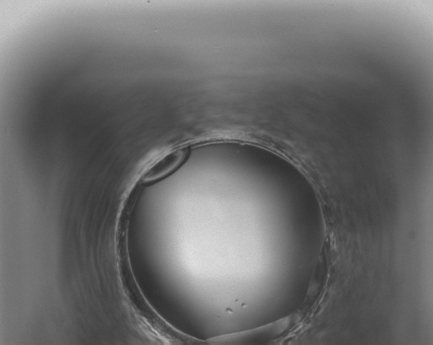 X0000060580104200511101706