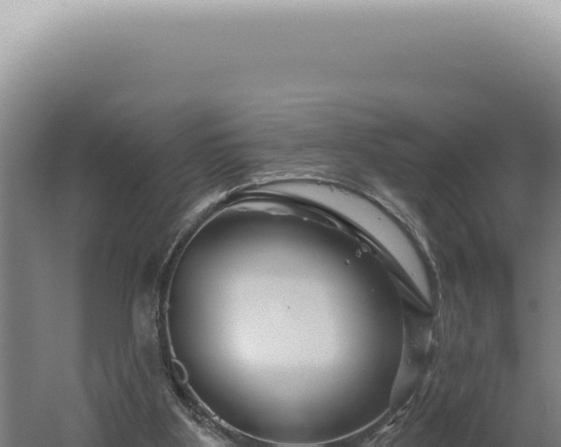 X0000060580107200511101706