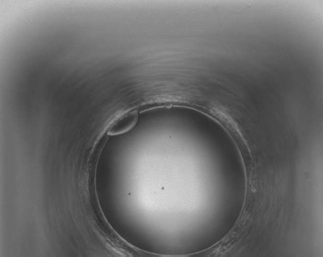 X0000060580108200511101706