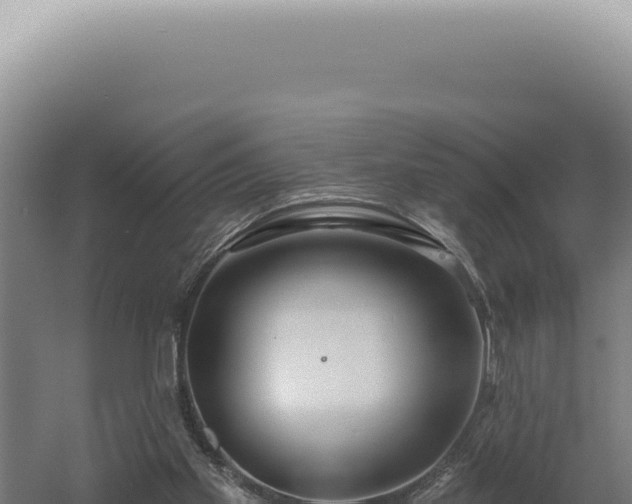 X0000060580109200511101706