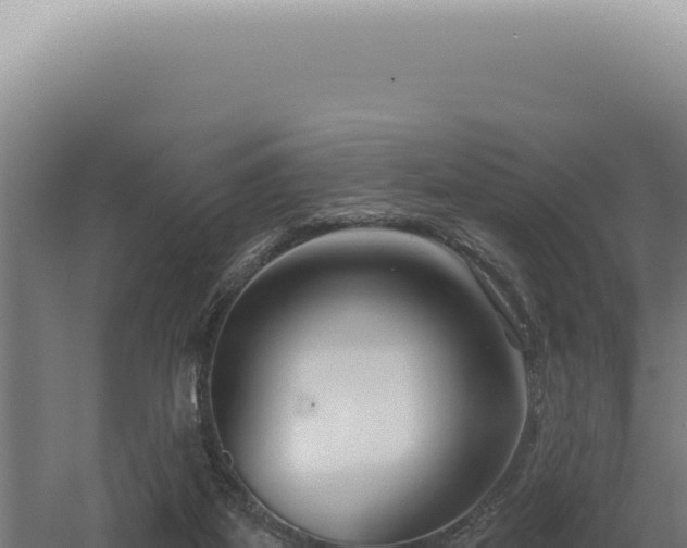 X0000060580115200511101706