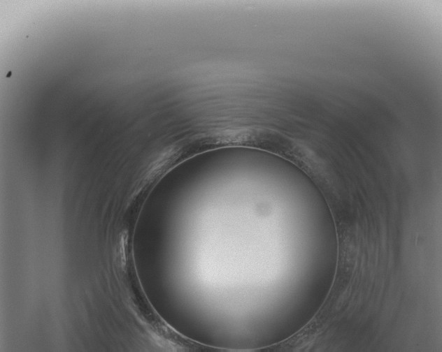 X0000060580118200511101706