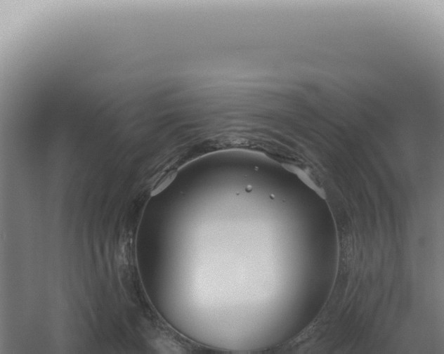 X0000060580126200511101706