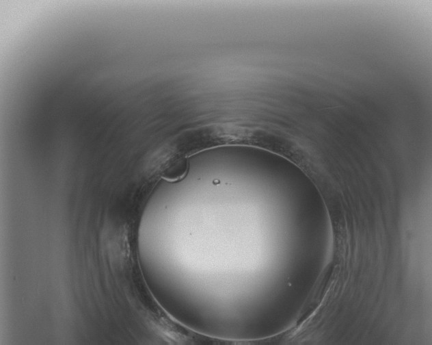 X0000060580128200511101706