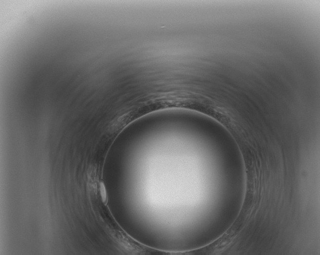 X0000060580129200511101706