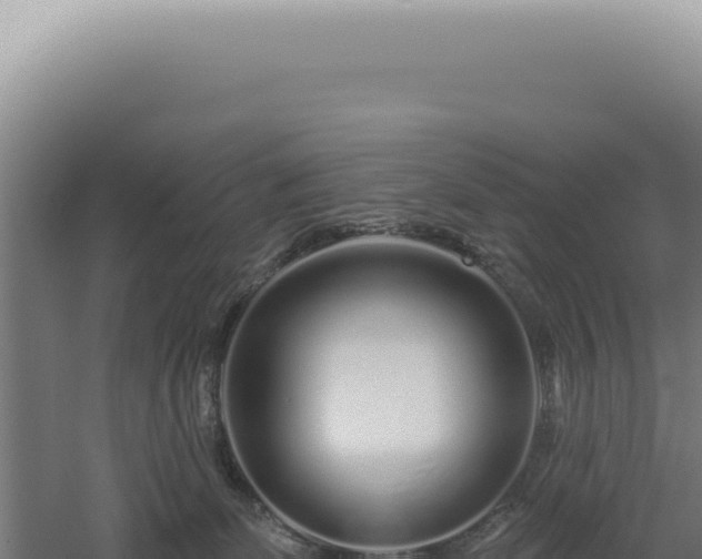 X0000060580131200511101706