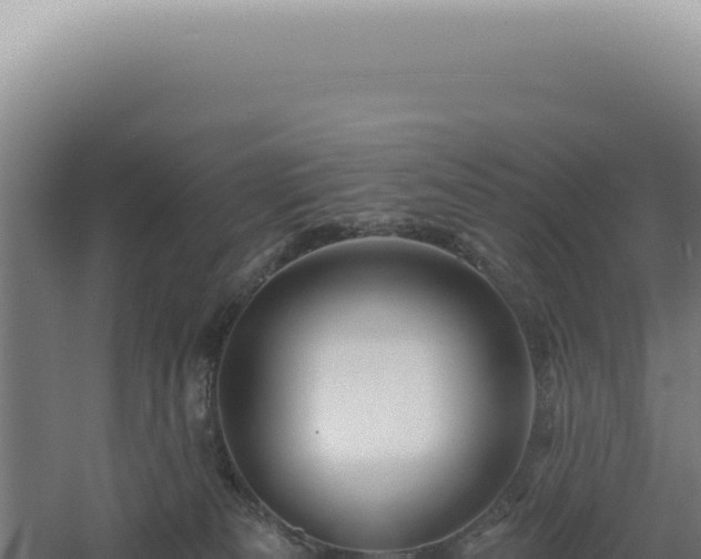 X0000060580133200511101706