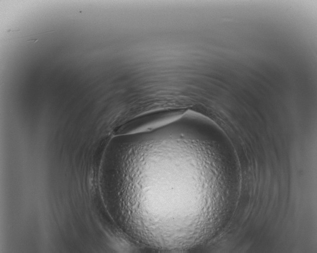 X0000060580134200511101706