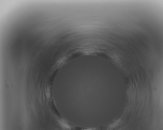 X0000060580139200511101706