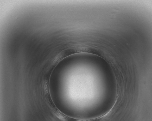 X0000060580144200511101706