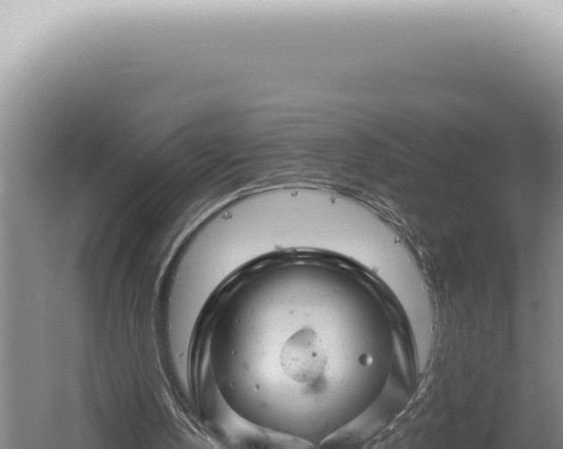 X0000060580146200511101705