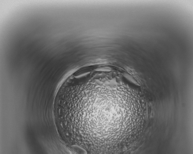 X0000060580147200511101705