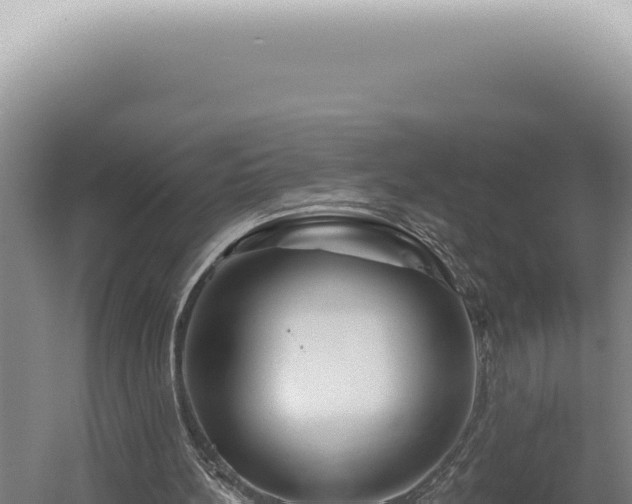 X0000060580148200511101705