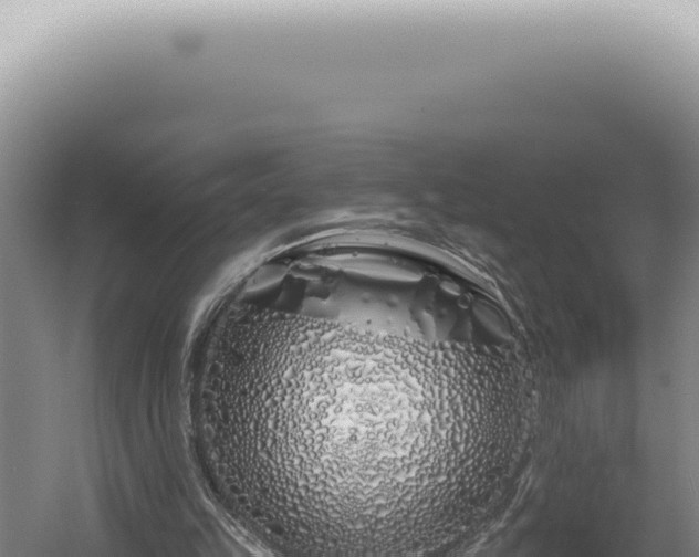 X0000060580149200511101705