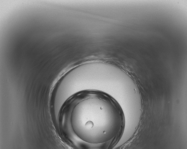 X0000060580150200511101705