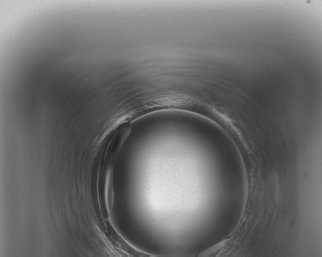 X0000060580154200511101705