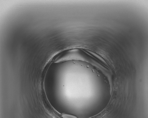 X0000060580156200511101705