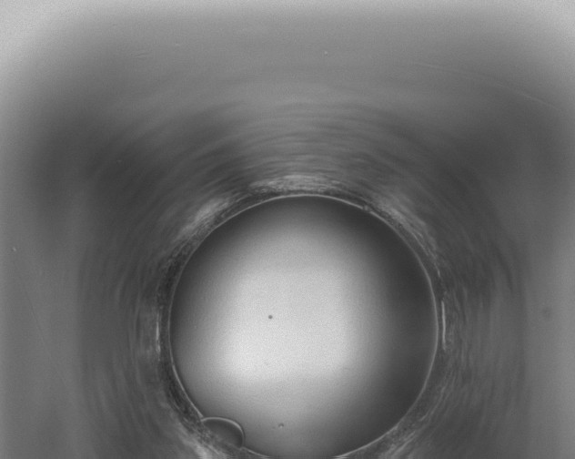 X0000060580157200511101705