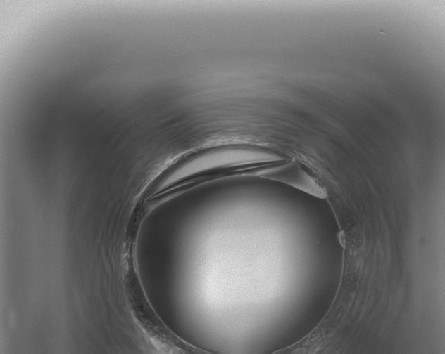 X0000060580160200511101705