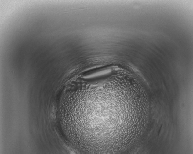 X0000060580161200511101705