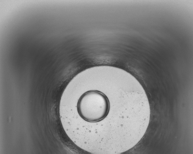 X0000060580162200511101705