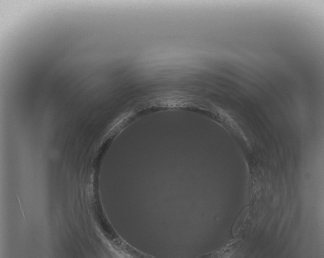 X0000060580163200511101705