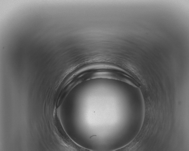 X0000060580164200511101705