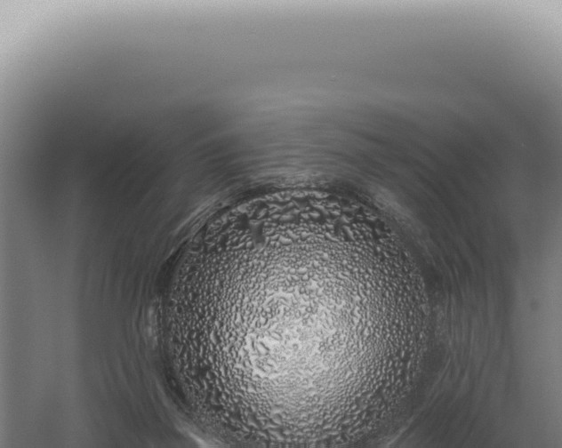 X0000060580165200511101705