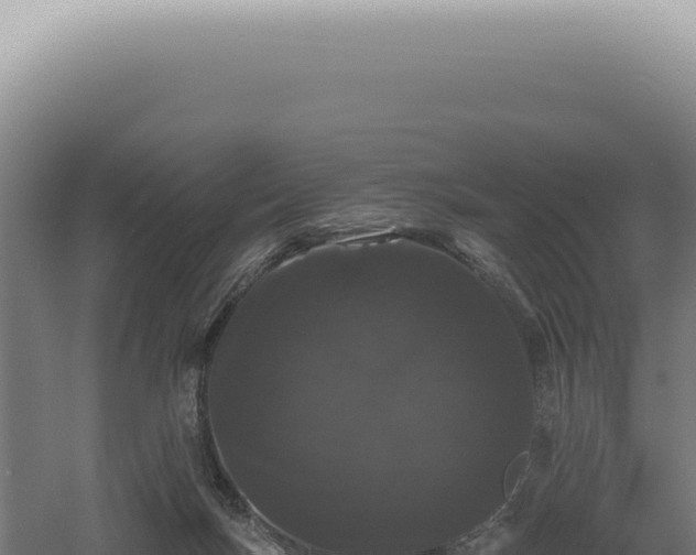 X0000060580167200511101705