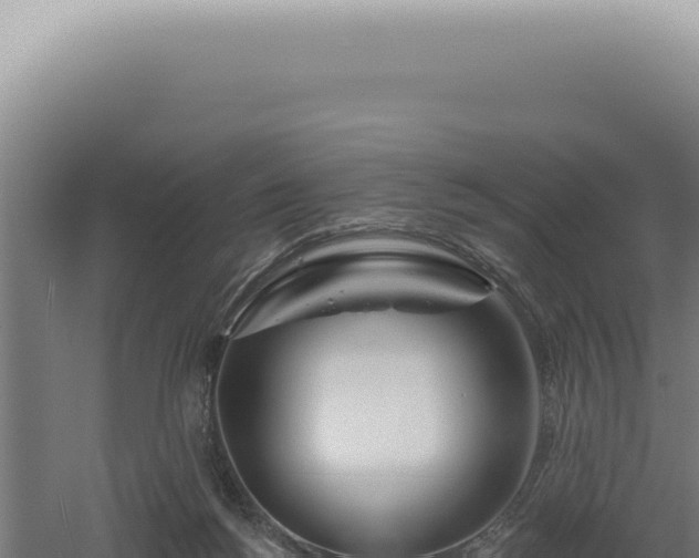 X0000060580168200511101705