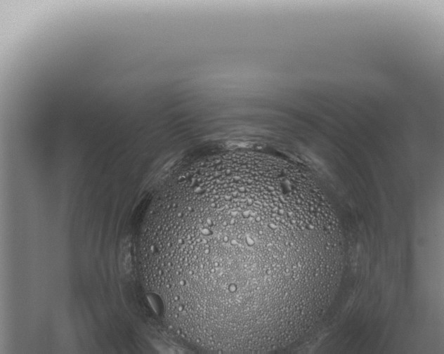 X0000060580169200511101705