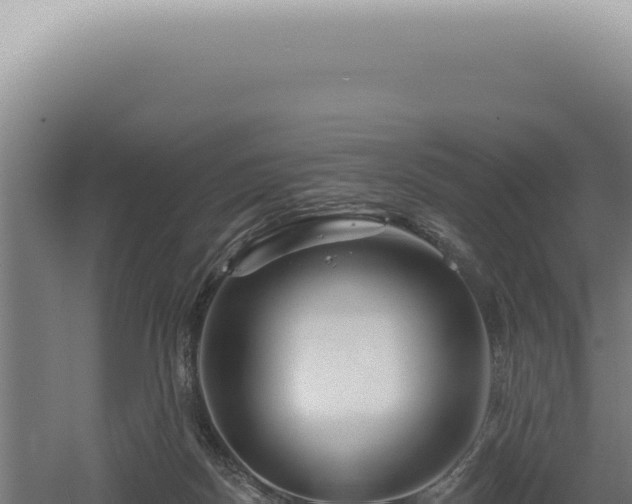 X0000060580170200511101705