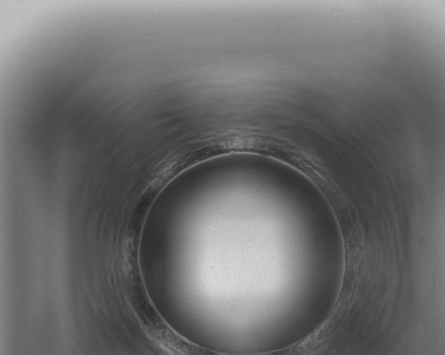 X0000060580171200511101705