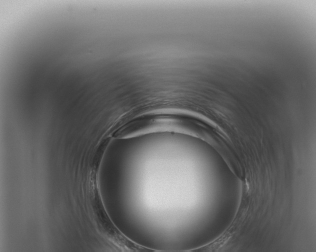 X0000060580172200511101705