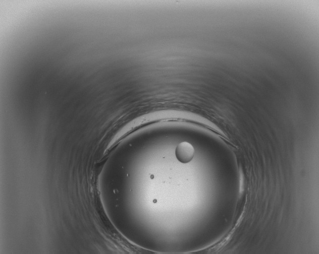 X0000060580174200511101705