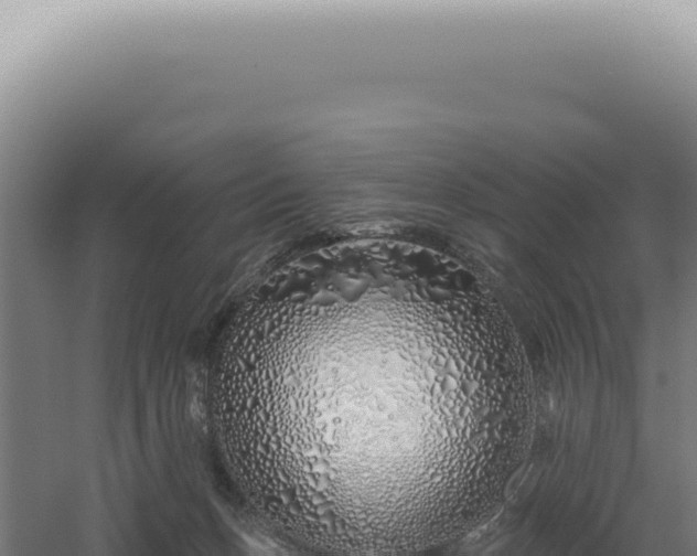 X0000060580175200511101705